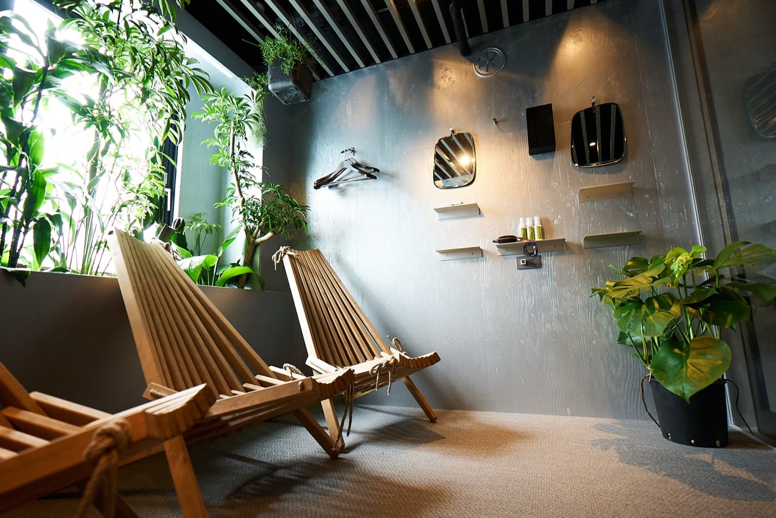 SAUNA&co の植物に囲まれた休憩スペース